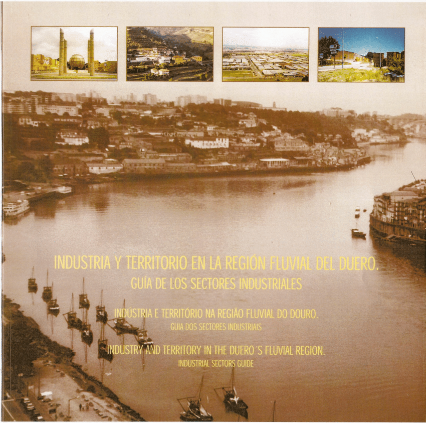 Imagen de portada del libro Industria y territorio en la Región Fluvial del Duero
