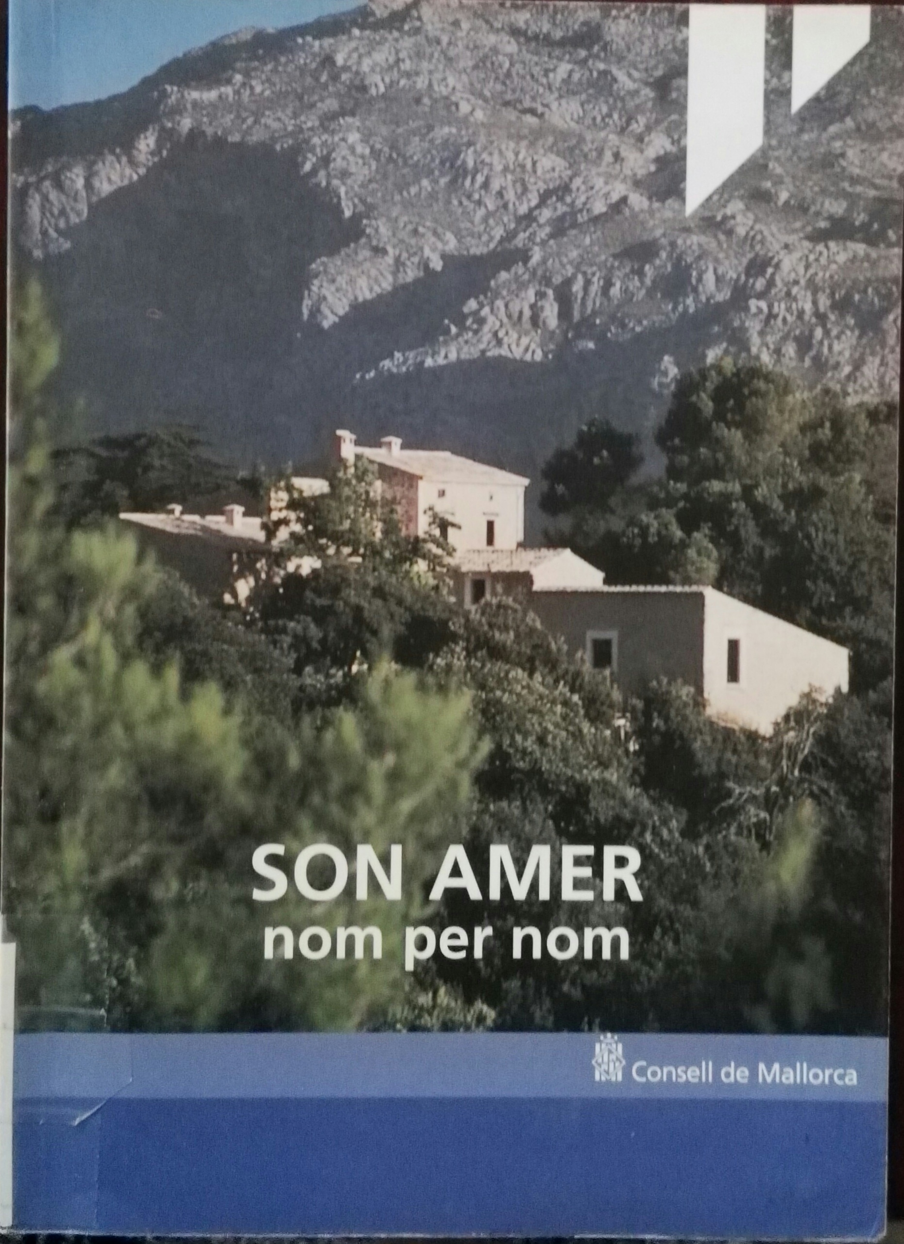Imagen de portada del libro Son Amer, nom per nom