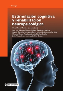 Imagen de portada del libro Estimulación cognitiva y rehabilitación neuropsicológica