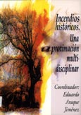 Imagen de portada del libro Incendios históricos : una aproximación multidisciplinar