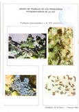 Imagen de portada del libro Grupo de trabajo de los problemas fitosanitarios de la vid : trabajos presentados a la XV Reunión : [celebrada en] Valladolid, 30-31 Enero-1 Febrero 1990