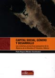 Imagen de portada del libro Capital social, género y desarrollo