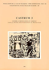 Imagen de portada del libro Castrum 3