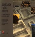 Imagen de portada del libro Arqueología y Medio ambiente : el primer milenio a. C. en el Duero medio