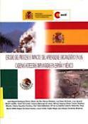 Imagen de portada del libro Estudio del proceso e impacto del aprendizaje organizativo en las cadenas hoteleras implantadas en España y México