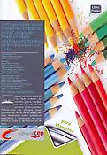 Imagen de portada del libro La programación de las competencias básicas en los colegios de Infantil y Primaria