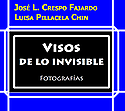 Imagen de portada del libro Visos de lo invisible
