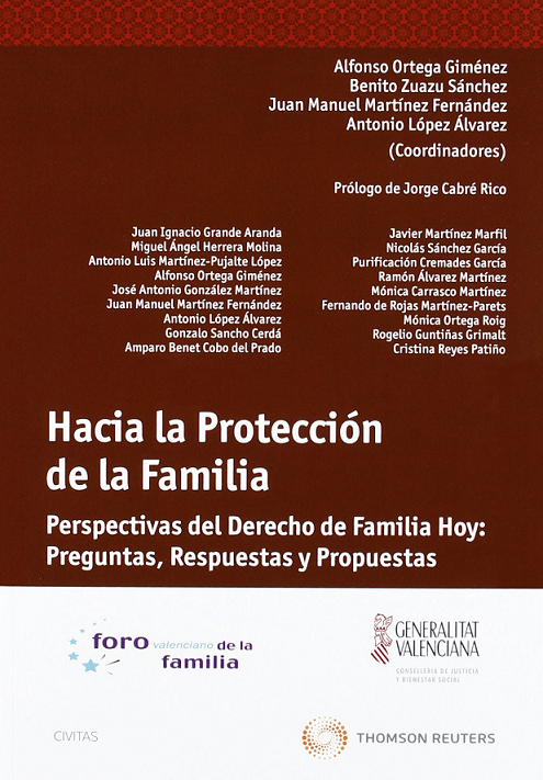 Imagen de portada del libro Hacia la protección de la familia