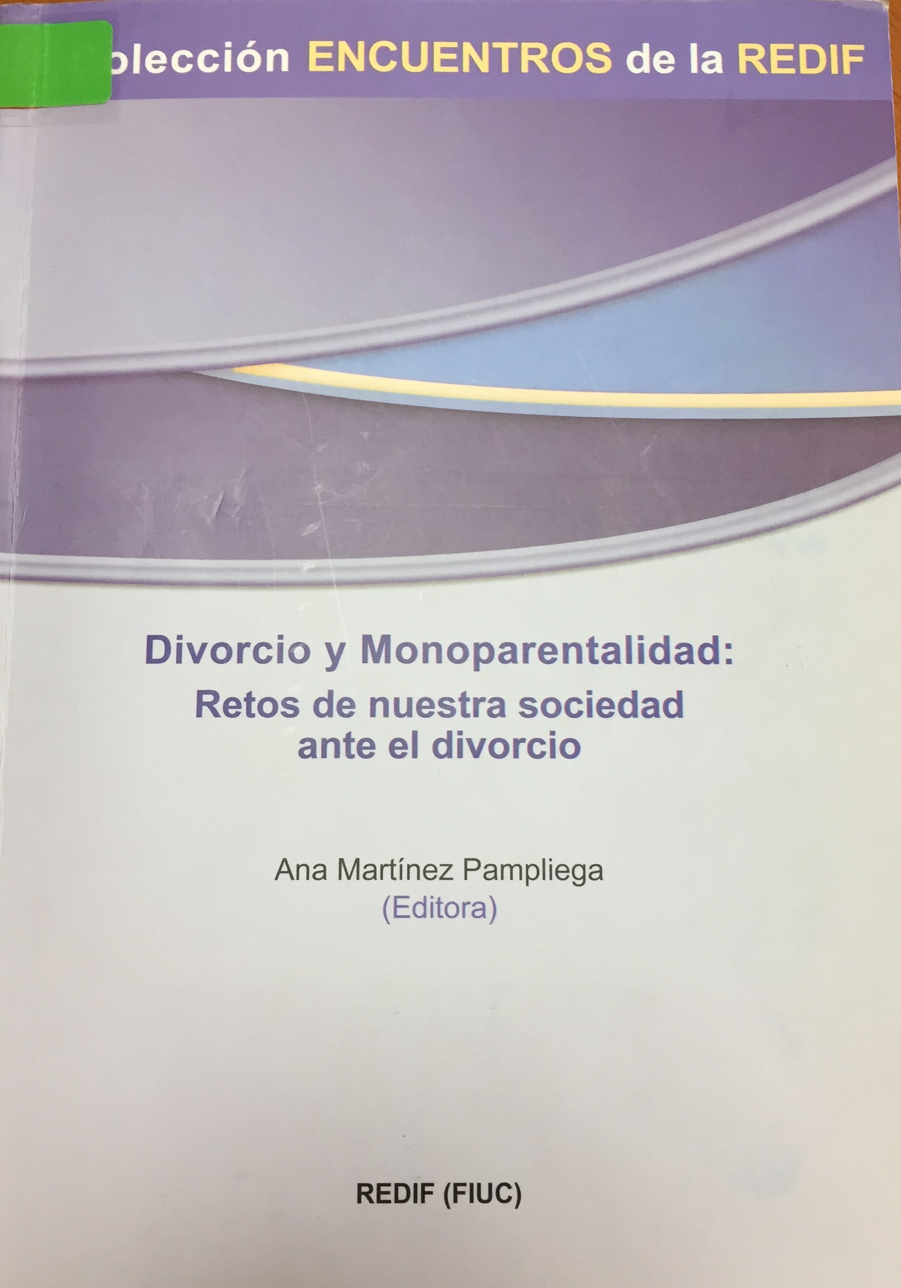 Imagen de portada del libro Divorcio y monoparentalidad
