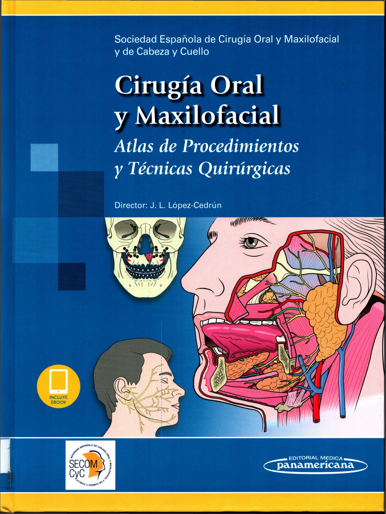 Imagen de portada del libro Cirugía oral y maxilofacial