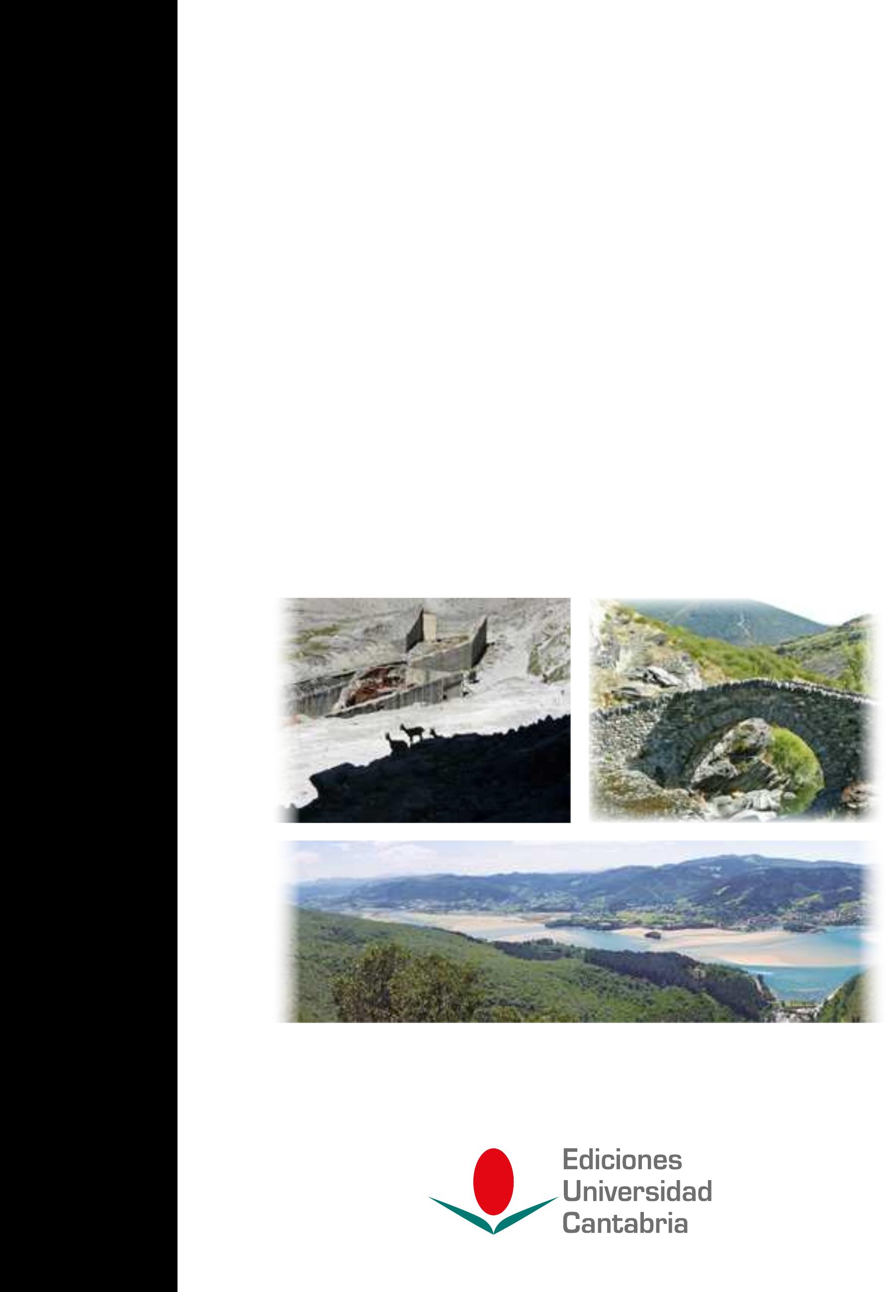 Imagen de portada del libro Despoblación y cambios paisajísticos y ambientales