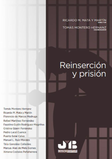 Imagen de portada del libro Reinserción y prisión