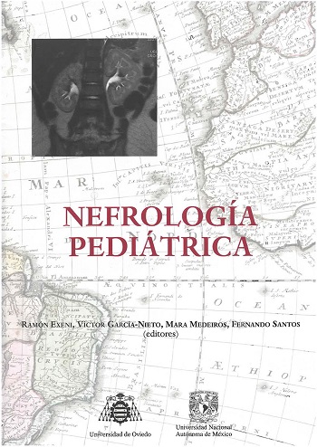 Imagen de portada del libro Nefrología pediátrica