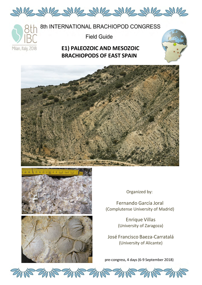 Imagen de portada del libro Paleozoic and Mesozoic Brachiopods of East Spain