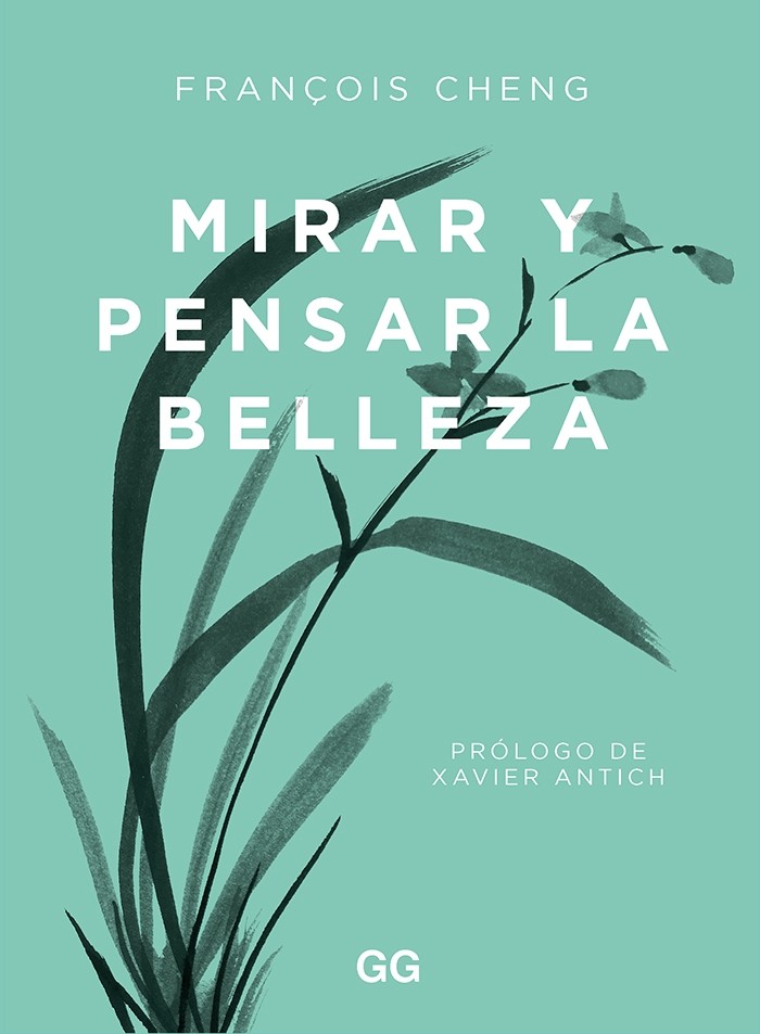 Imagen de portada del libro Mirar y pensar la belleza