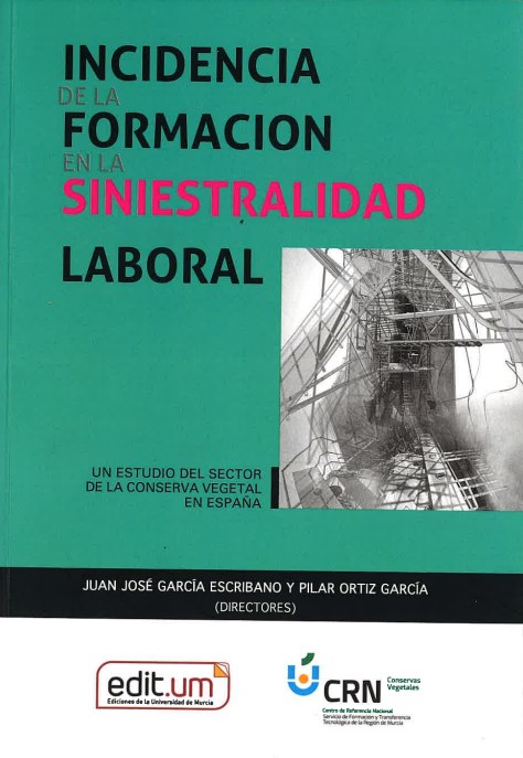 Imagen de portada del libro Incidencia de la formación en la siniestralidad laboral