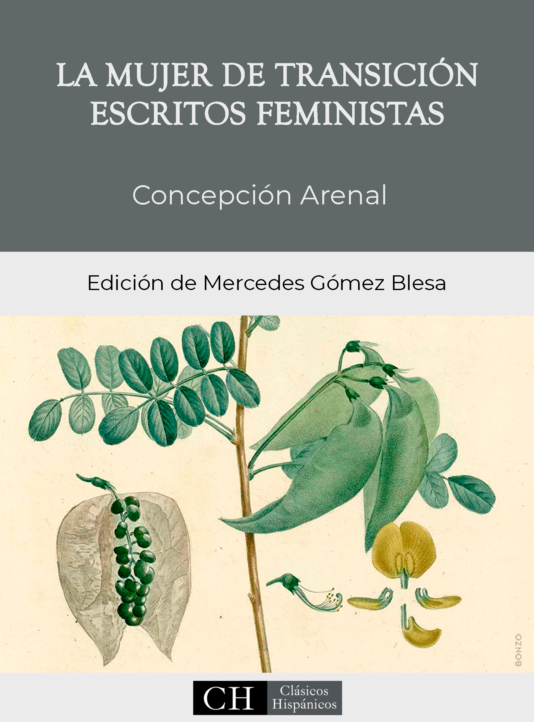 Imagen de portada del libro La mujer de transición. Escritos feministas