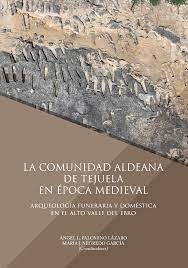 Imagen de portada del libro La comunidad aldeana de Tejuela en época medieval