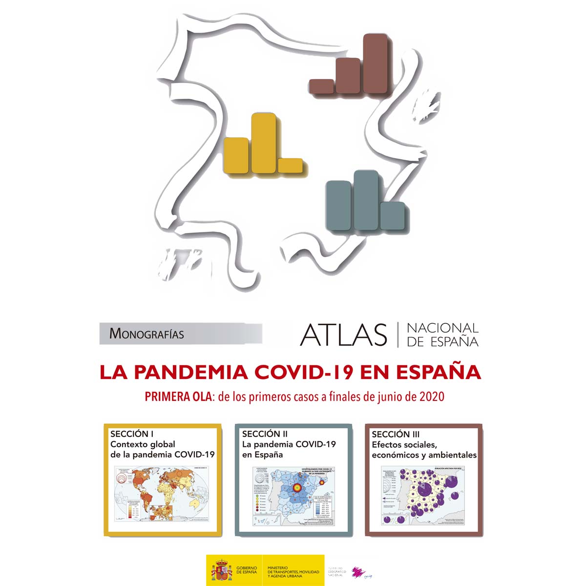 Imagen de portada del libro La pandemia Covid-19 en España