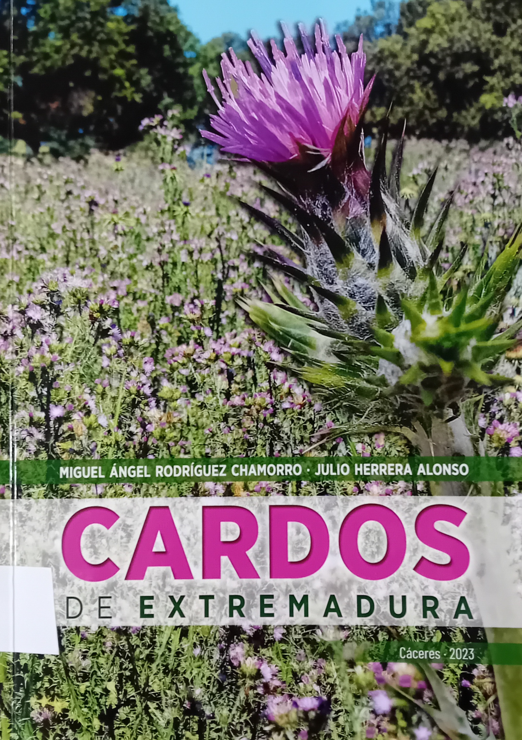 Imagen de portada del libro Cardos de Extremadura