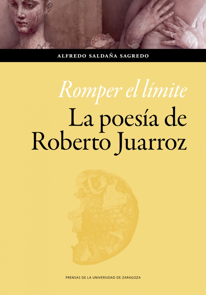 Imagen de portada del libro Romper el límite