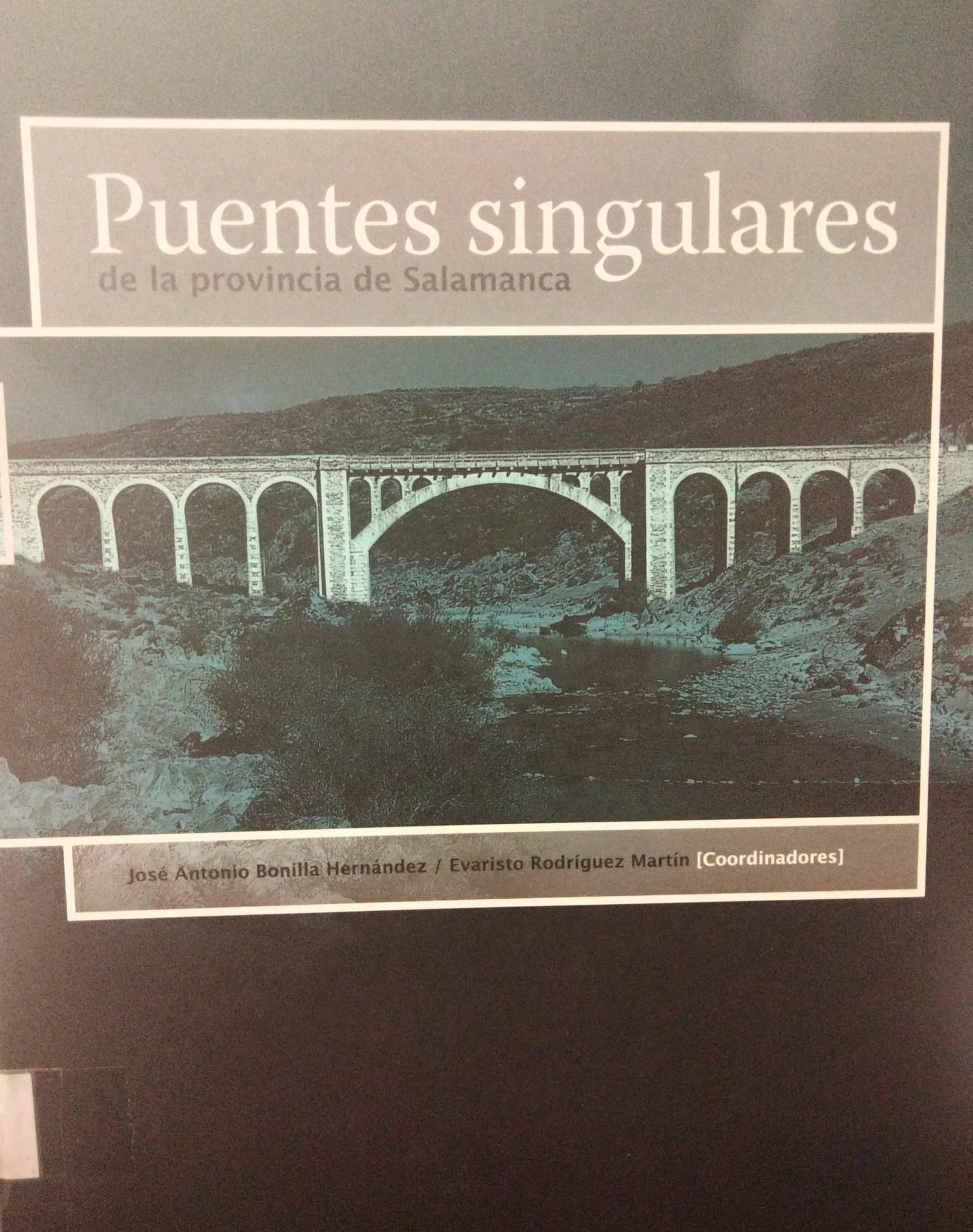 Imagen de portada del libro Puentes singulares de la provincia de Salamanca