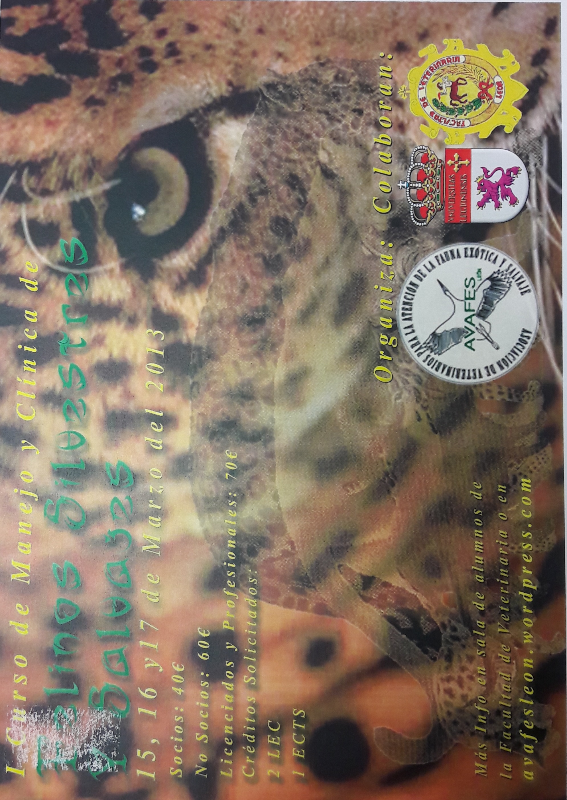 Imagen de portada del libro I Curso de manejo y clínica de felinos silvestres y salvajes 2012/2013