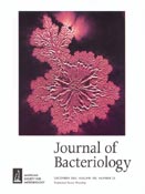 Imagen de portada de la revista Journal of bacteriology
