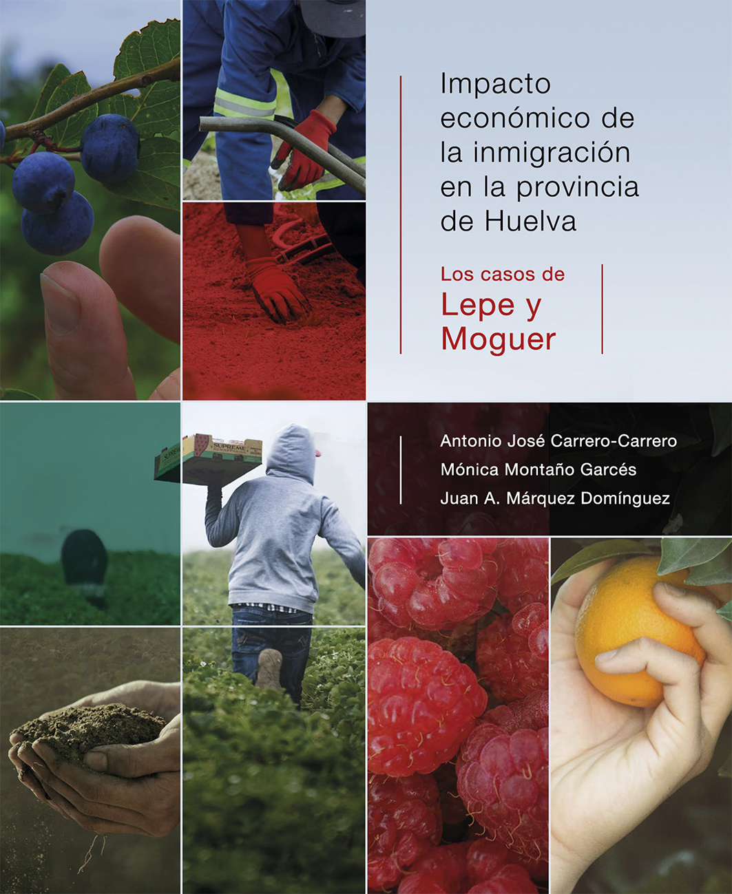 Imagen de portada del libro Impacto económico de la inmigración en la provincia de Huelva