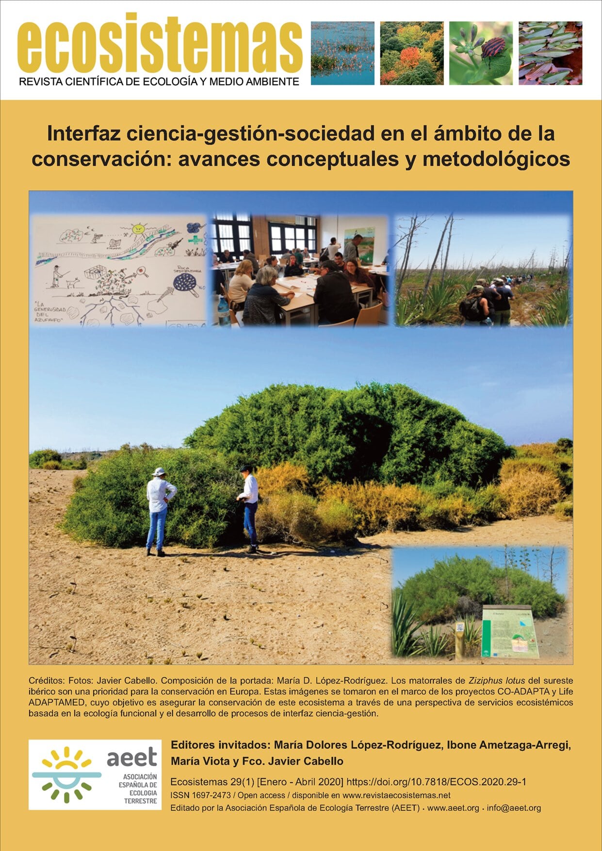 Ecosistemas: Revista científica y técnica de ecología y medio ambiente.  2020, Vol. 29, Nº. 1 - Dialnet
