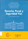 Imagen de portada del libro Derecho penal y seguridad vial