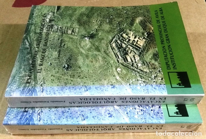 Imagen de portada del libro Excavaciones arqueológicas en El Raso de Candeleda