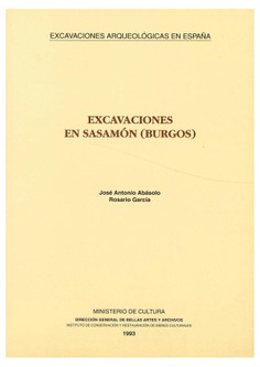 Imagen de portada del libro Excavaciones en Sasamón (Burgos)