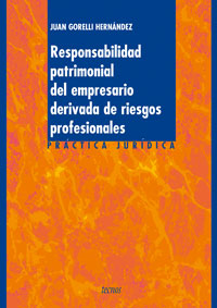 Imagen de portada del libro Responsabilidad patrimonial del empresario derivada de riesgos profesionales