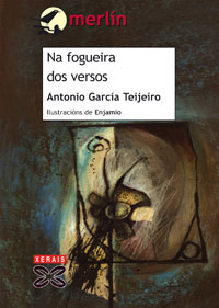 Imagen de portada del libro Na fogueira dos versos