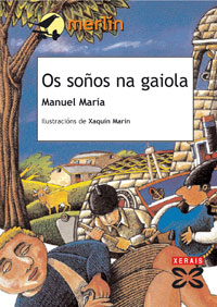 Imagen de portada del libro Os soños na gaiola