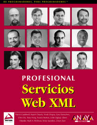 Imagen de portada del libro Servicios Web XML