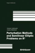 Imagen de portada del libro Perturbation Methods and Semilinear Elliptic Problems on R^n