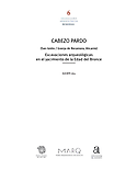 Imagen de portada del libro Cabezo Pardo (San Isidro - Granja de Rocamora, Alicante)