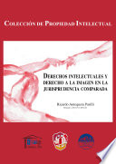 Imagen de portada del libro Derechos intelectuales y derecho a la imagen en la jurisprudencia comparada