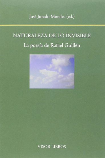 Imagen de portada del libro Naturaleza de lo invisible