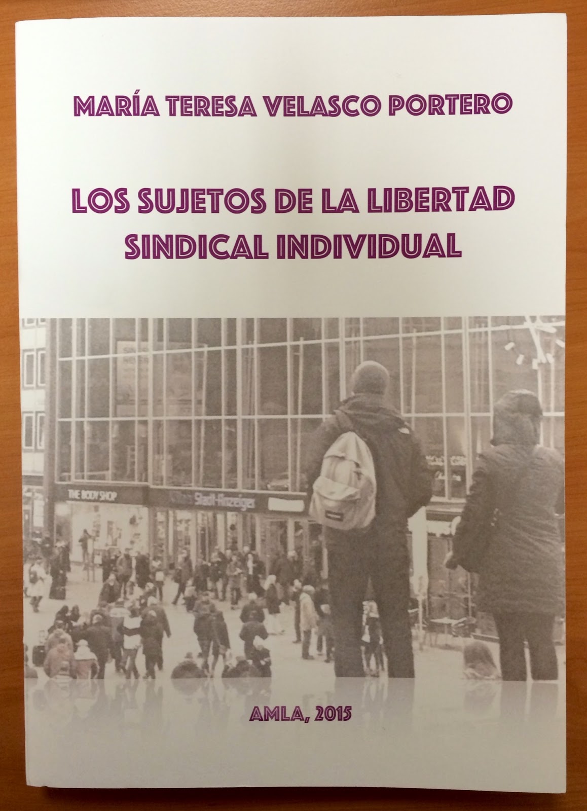 Imagen de portada del libro Los sujetos de la libertad sindical individual