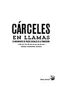 Imagen de portada del libro Cárceles en llamas