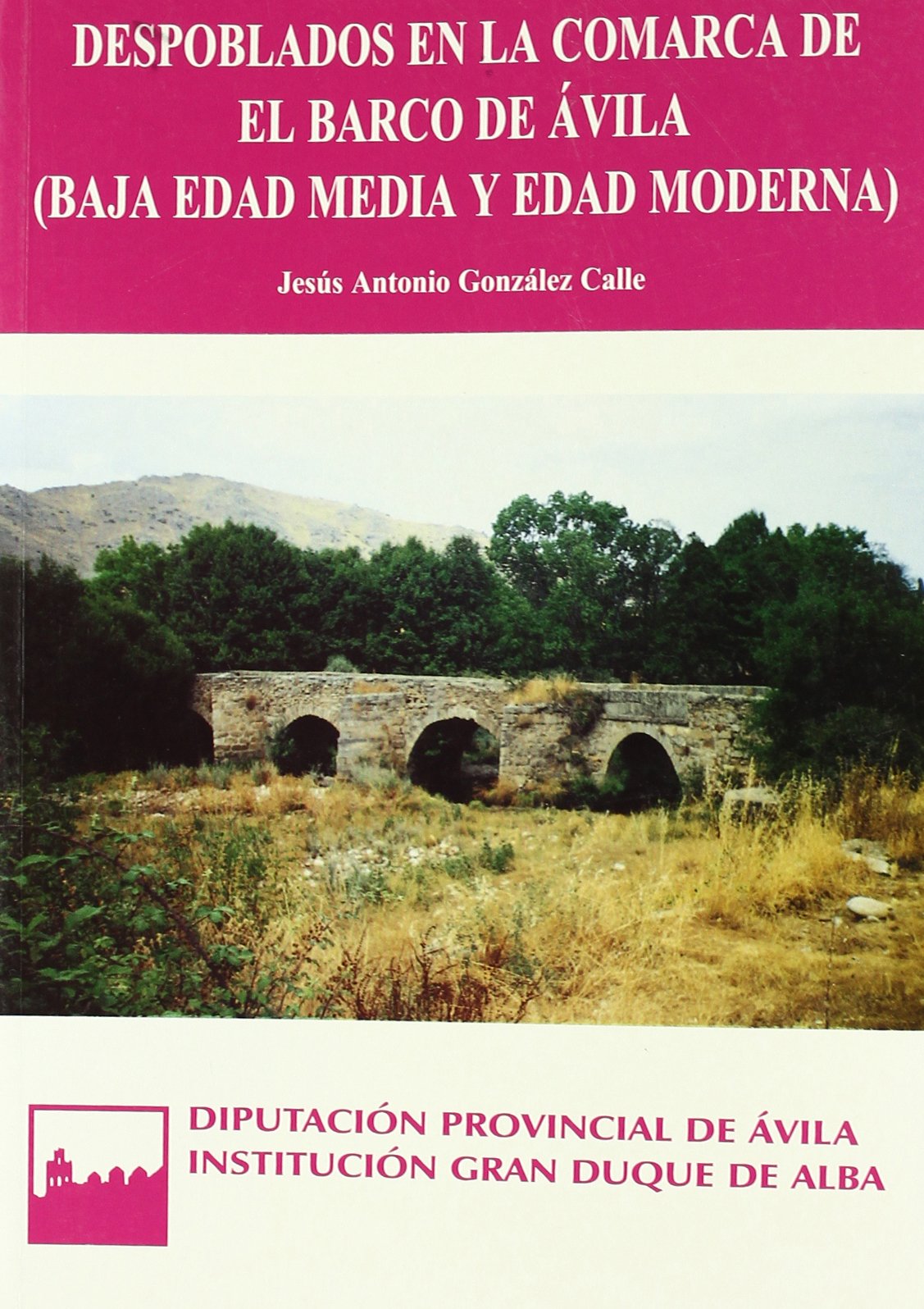 Imagen de portada del libro Despoblados en la comarca de El Barco de Ávila (Baja Edad Media y Edad Moderna)