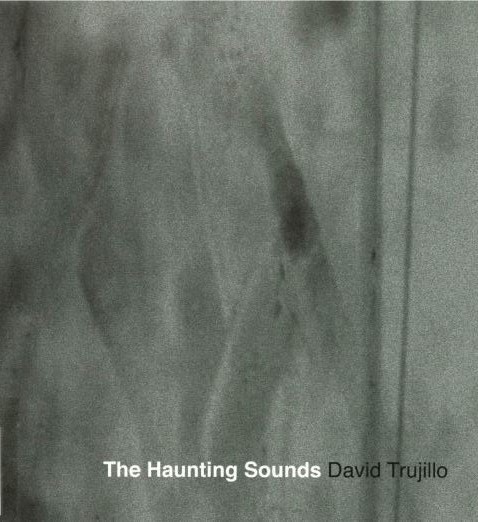 Imagen de portada del libro The haunting sounds