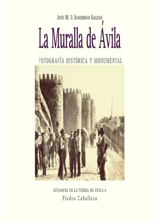 Imagen de portada del libro La muralla de Ávila
