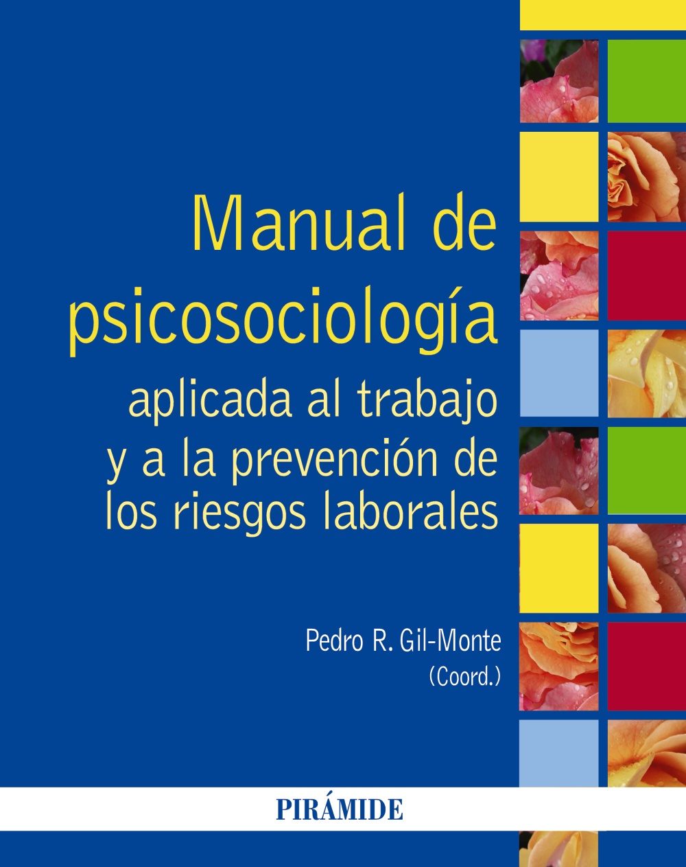 Imagen de portada del libro Manual de psicosociología aplicada al trabajo y a la prevención de los riesgos laborales