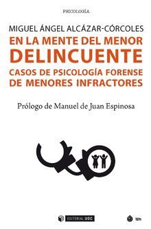 Imagen de portada del libro En la mente del menor delincuente