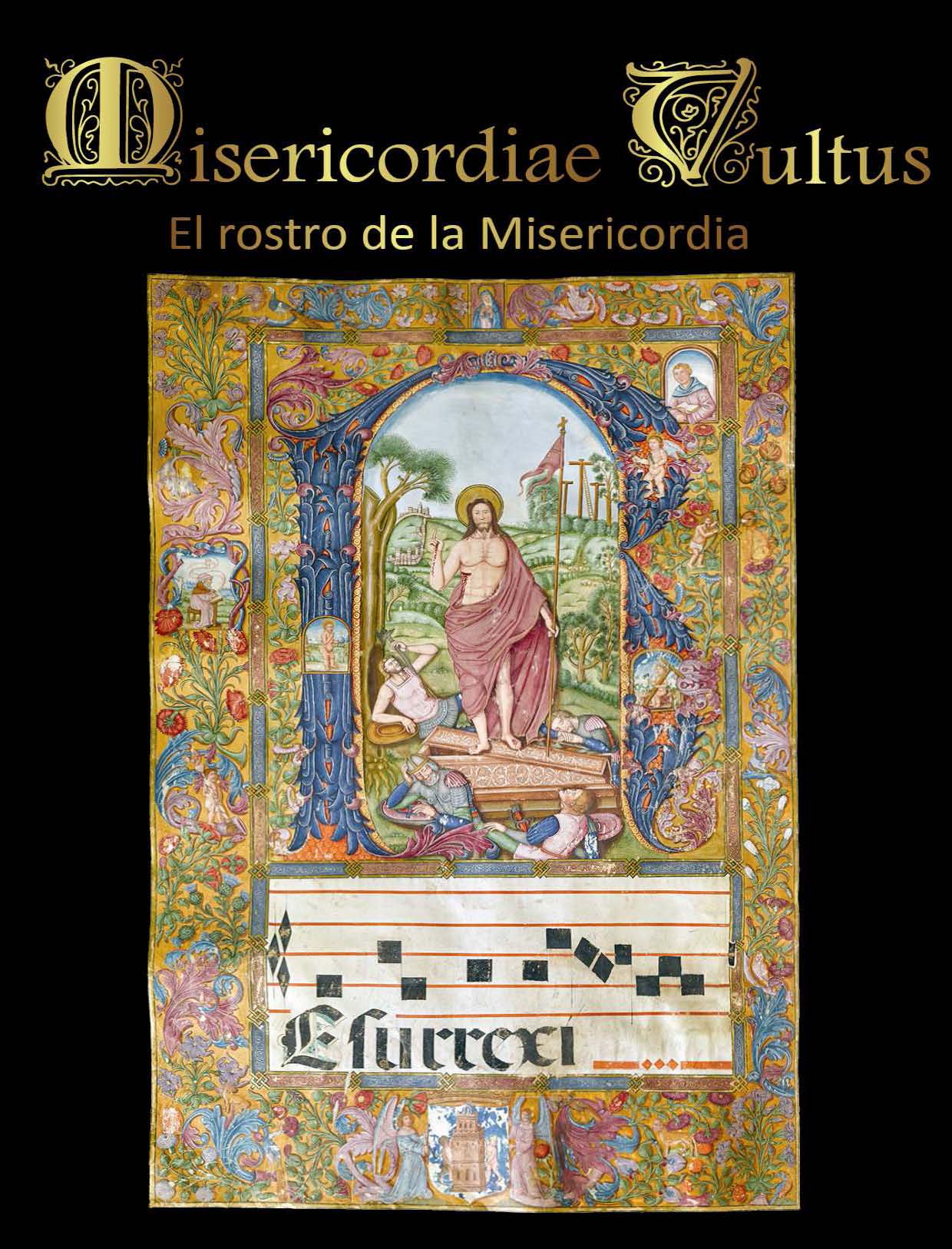 Imagen de portada del libro Misericordiae vultus