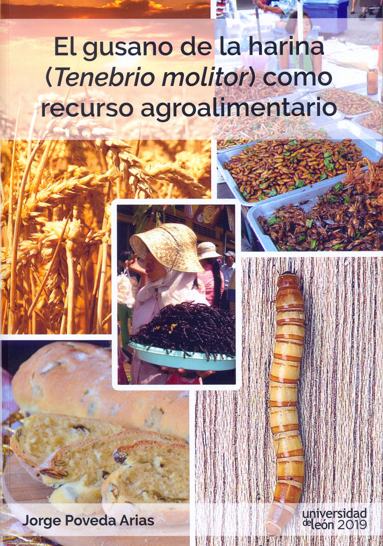 Imagen de portada del libro El gusano de la harina ("Tenebrio molitor") como recurso agroalimentario